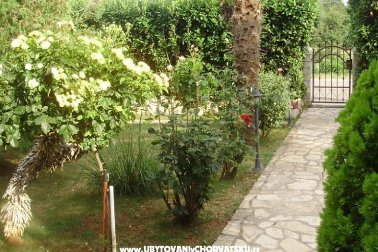 Appartement Mihael + free boat trip – foto 16