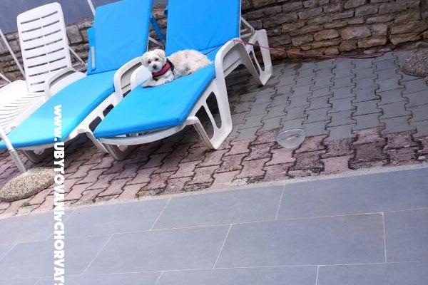 Appartementen Fides – foto 21