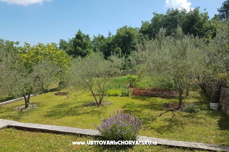 Appartementen Mariela – foto 4