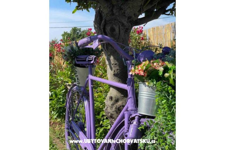 Vakantiehuis Bepina – foto 20