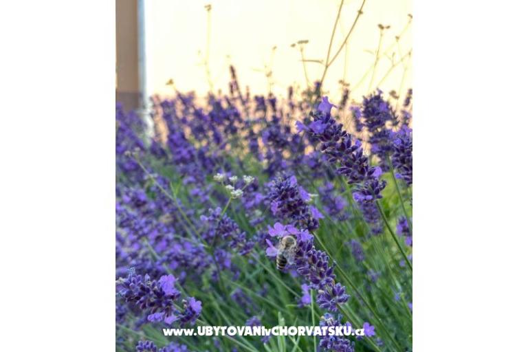 Vakantiehuis Bepina – foto 22