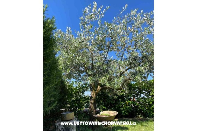 Vakantiehuis Bepina – foto 23