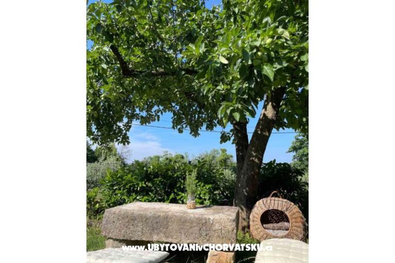 Vakantiehuis Bepina – foto 24