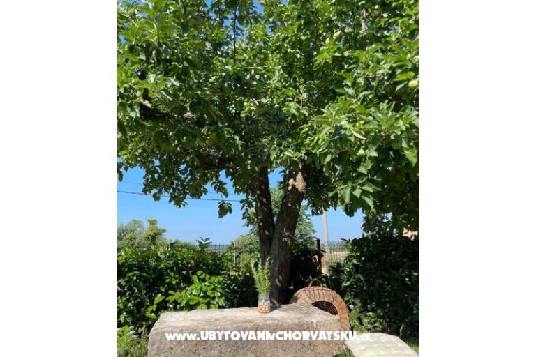 Vakantiehuis Bepina – foto 27