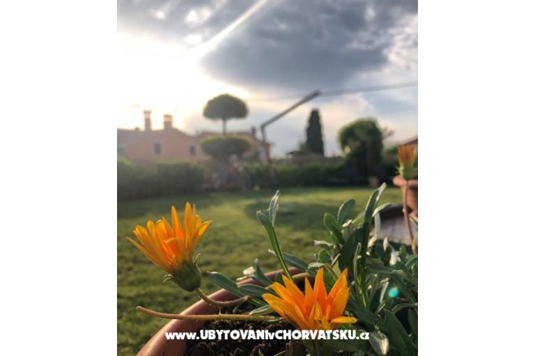 Vakantiehuis Bepina – foto 29