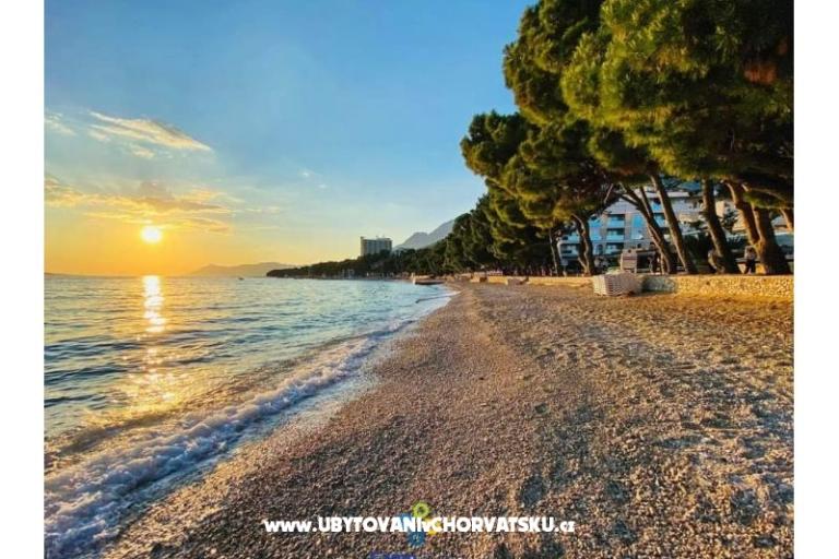 Appartement Andrijašević – foto 10