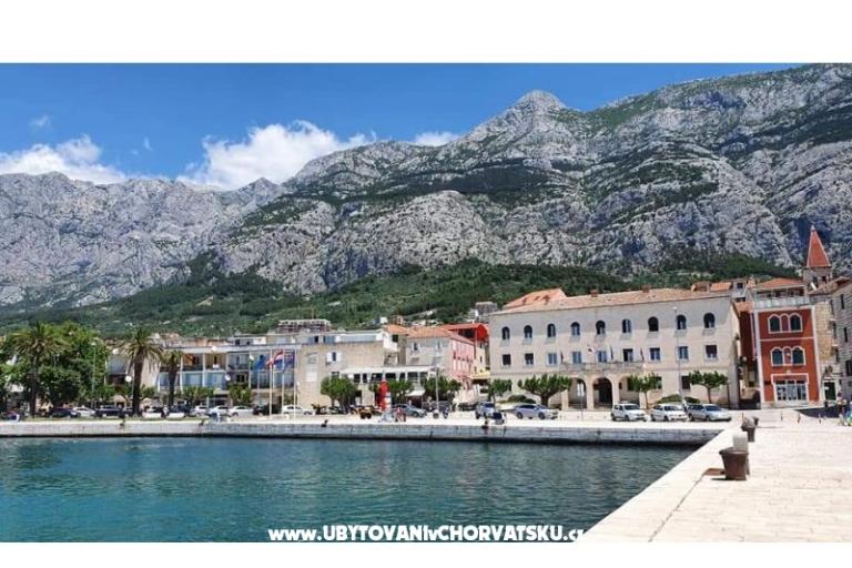 Appartement Andrijašević – foto 17