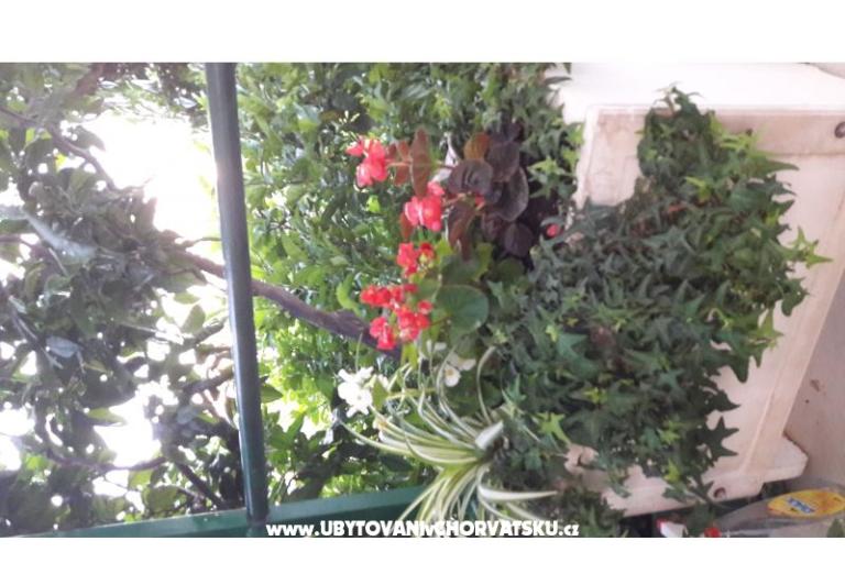 Appartement Olga – foto 9