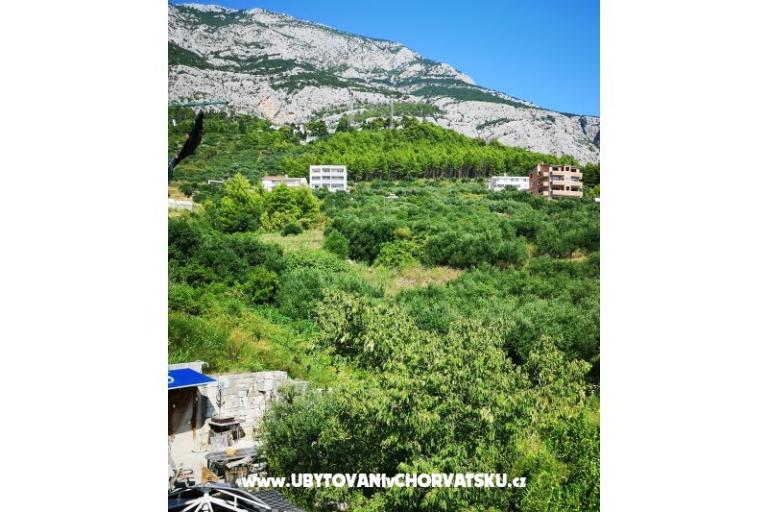 Appartementen Garden paradise – foto 17