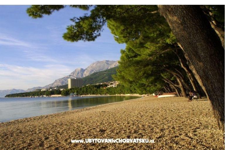 Appartementen IVO – foto 3