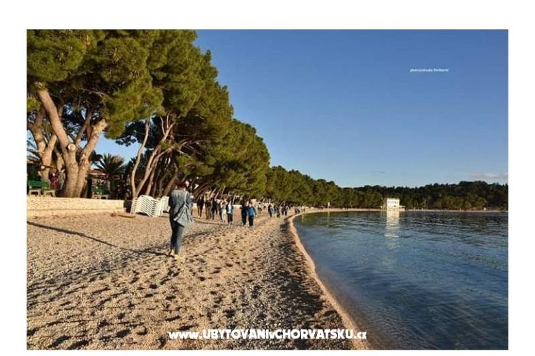 Appartementen Martina – foto 4