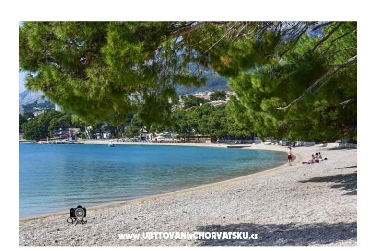 Appartementen Martina – foto 6