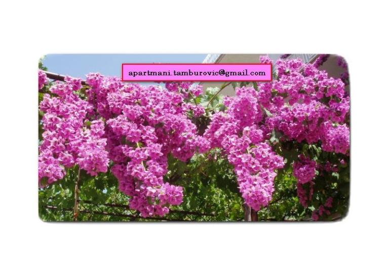 Appartementen Tamburović – foto 18