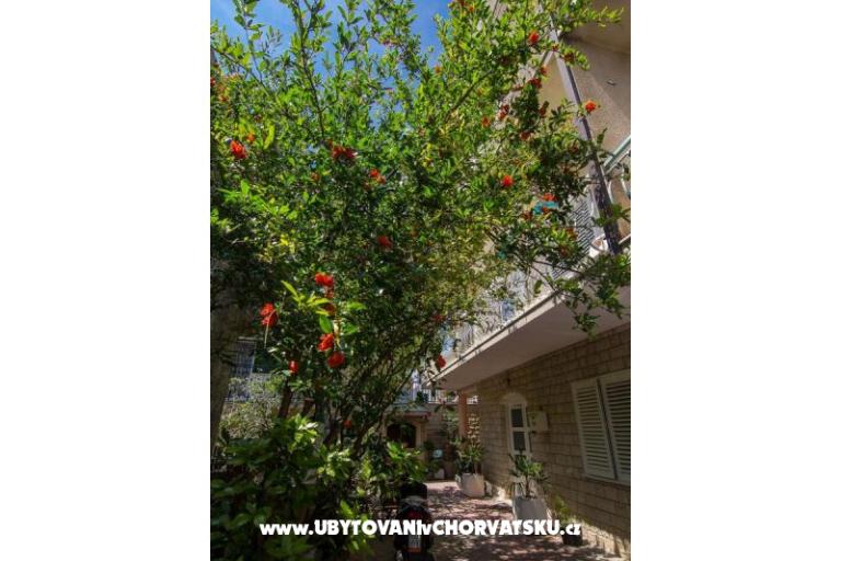 Appartementen A&amp;B – foto 16