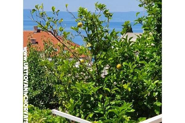 Appartementen Sani – foto 18