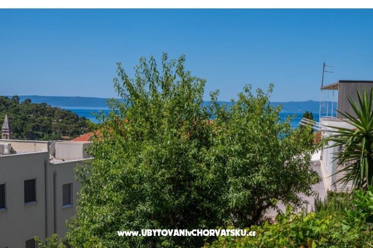 Appartementen Sani – foto 21