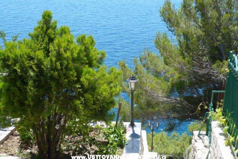 Appartementen Sliskovic, 1. line to sea – foto 8