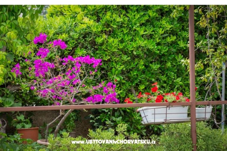 Appartementen Daniela Makarska – foto 3