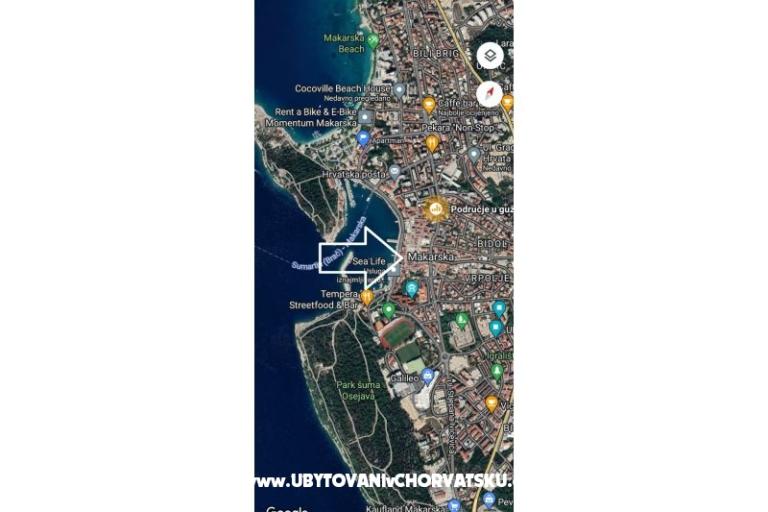 Studio Fani – foto 11