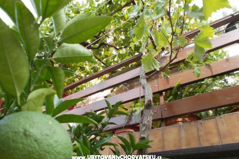 Appartementen  Vodarić – foto 7