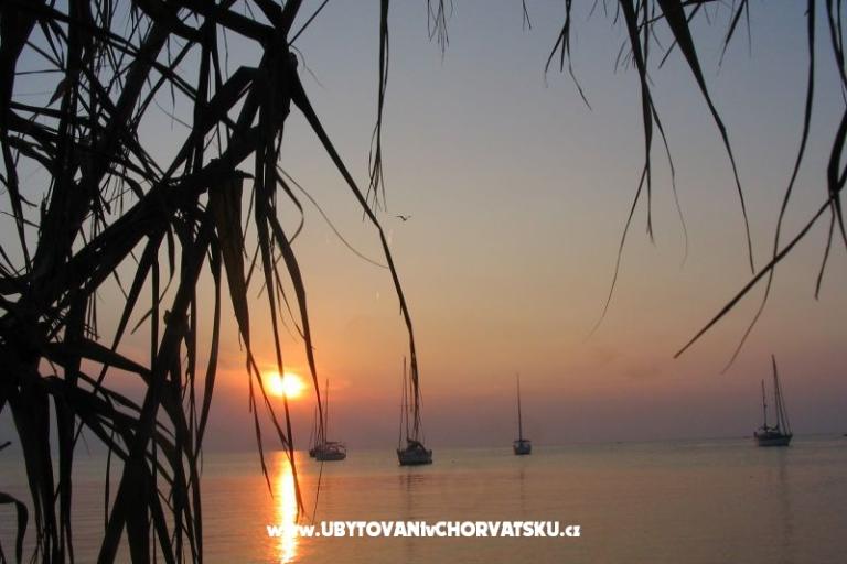 Big &amp; Small Konoba – foto 7