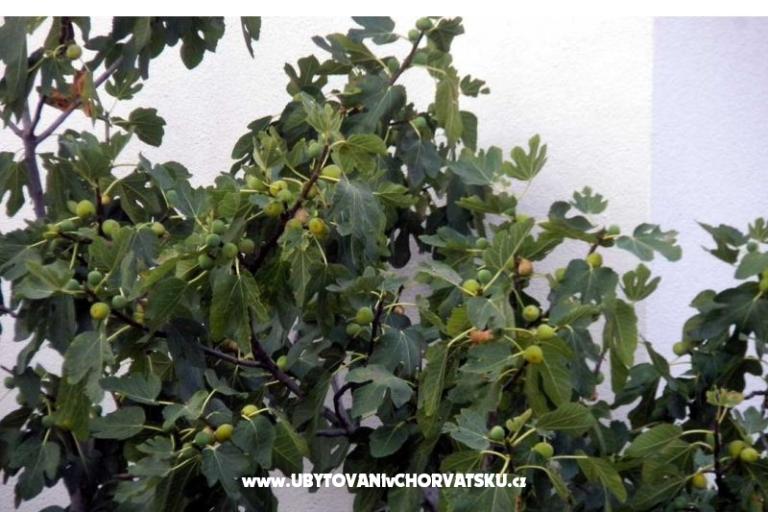 Appartementen Marasović – foto 6