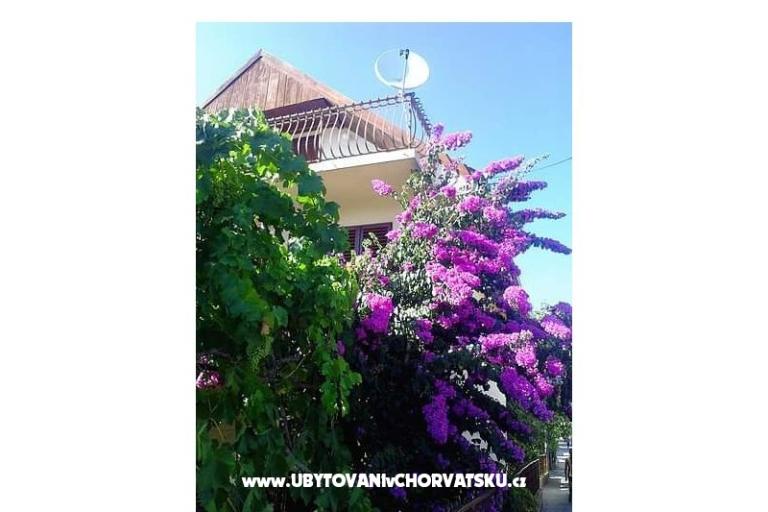 Huis Marino – foto 17