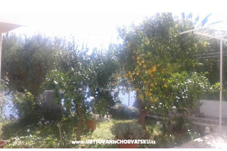Appartementen Neves – foto 13