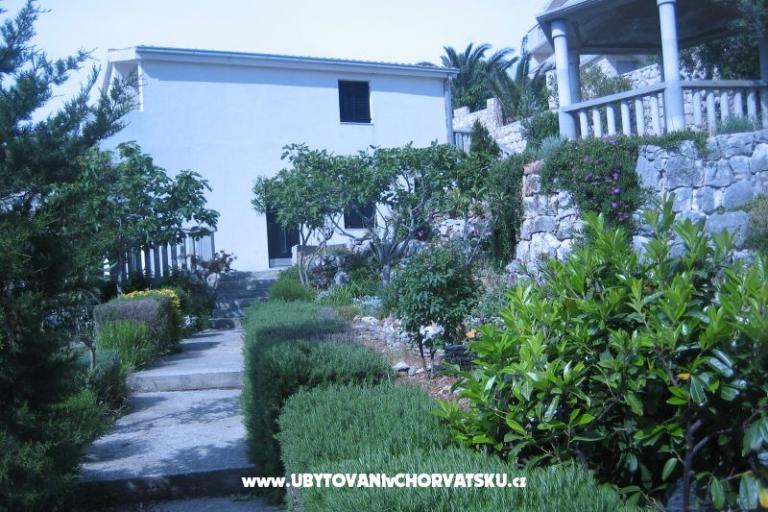 Appartementen Punta  – foto 2