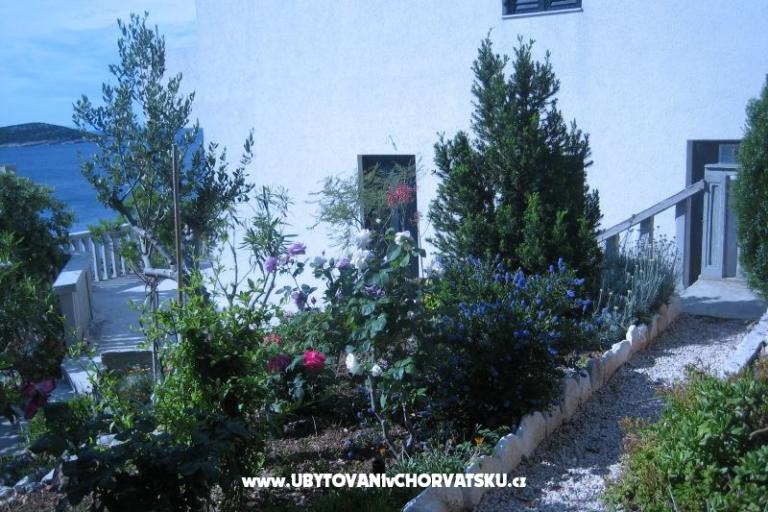 Appartementen Punta  – foto 5