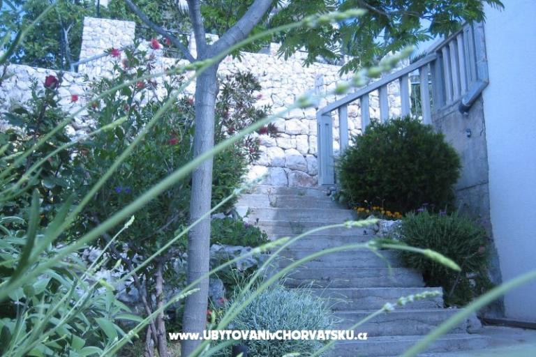 Appartementen Punta  – foto 9