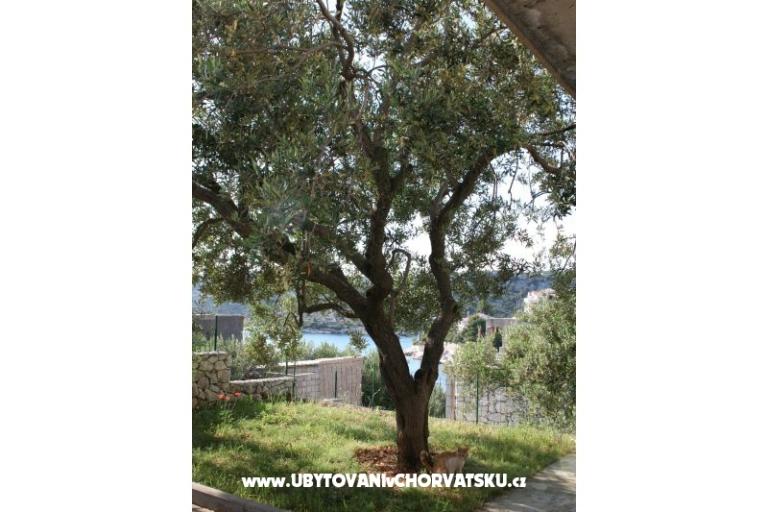 Appartementen Sevid Nikša i Lucija – foto 15