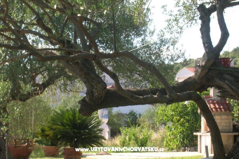 Appartementen Mira &amp; Vinko – foto 13