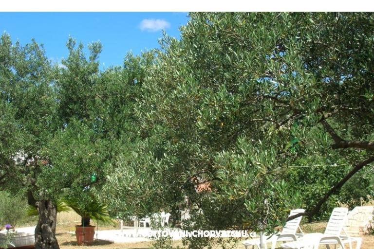 Appartementen Mira &amp; Vinko – foto 15