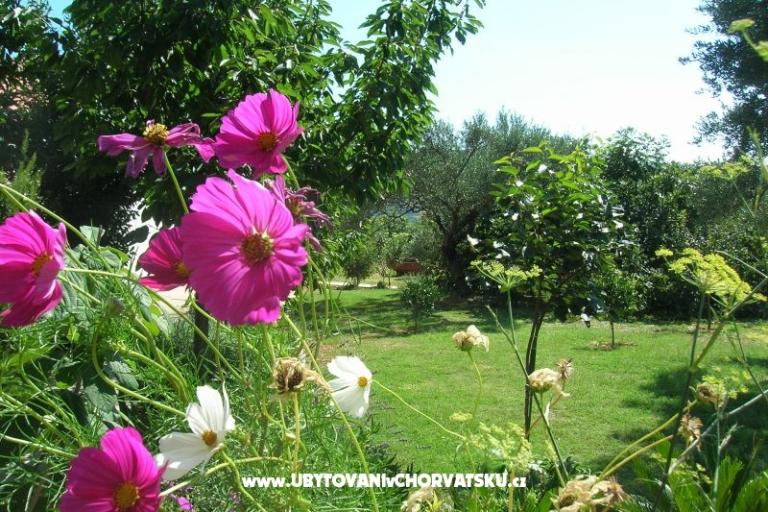 Appartementen Mira &amp; Vinko – foto 17