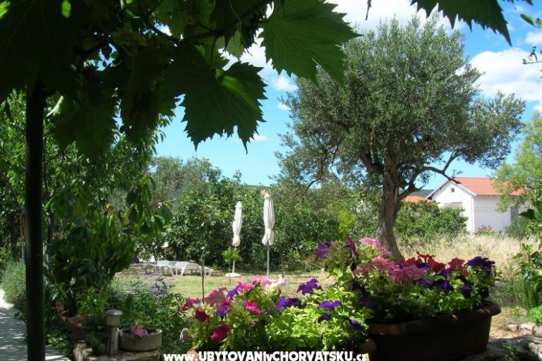 Appartementen Mira &amp; Vinko – foto 8