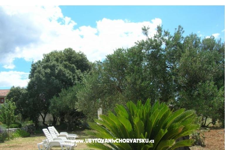 Appartementen Mira &amp; Vinko – foto 9