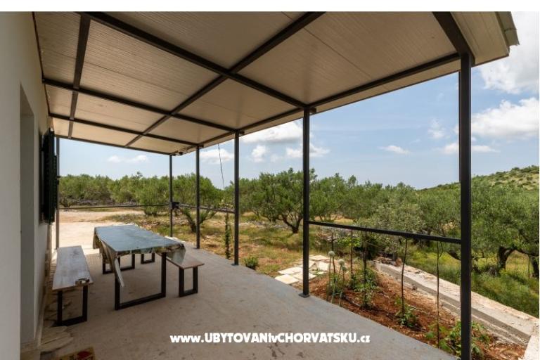 Green Huis (Dogs are welcome) – foto 11