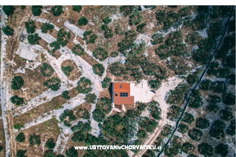 Green Huis (Dogs are welcome) – foto 2