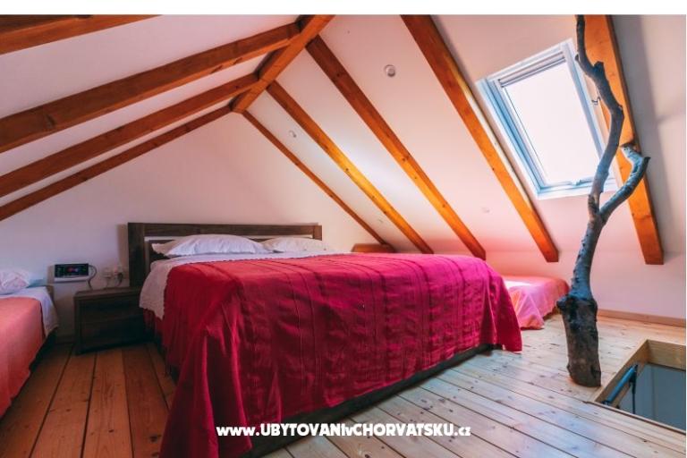 Green Huis (Dogs are welcome) – foto 24