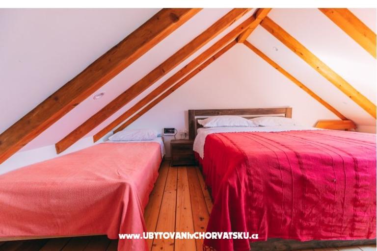 Green Huis (Dogs are welcome) – foto 25