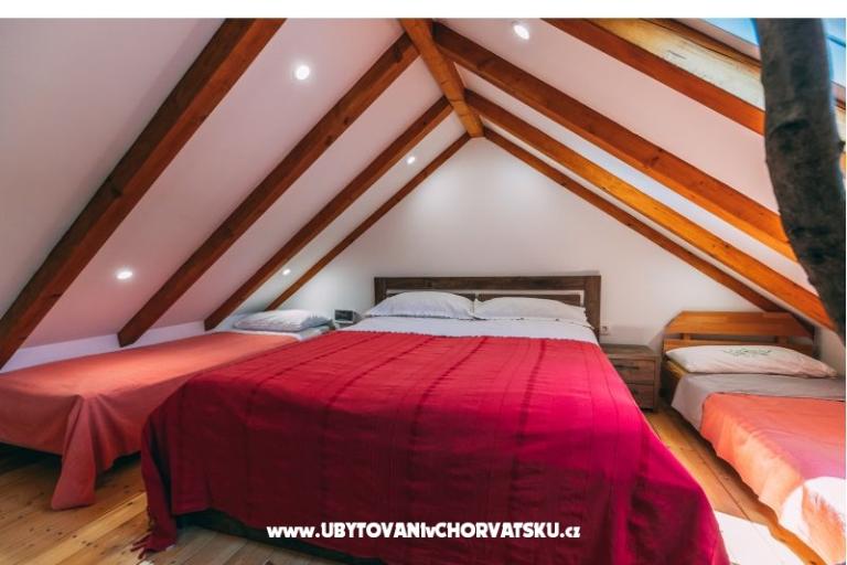 Green Huis (Dogs are welcome) – foto 27