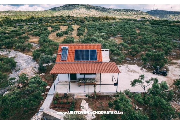 Green Huis (Dogs are welcome) – foto 3