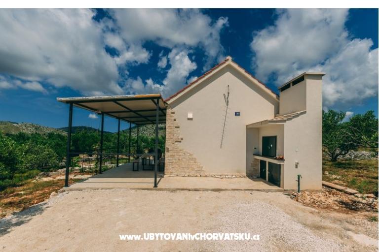 Green Huis (Dogs are welcome) – foto 5