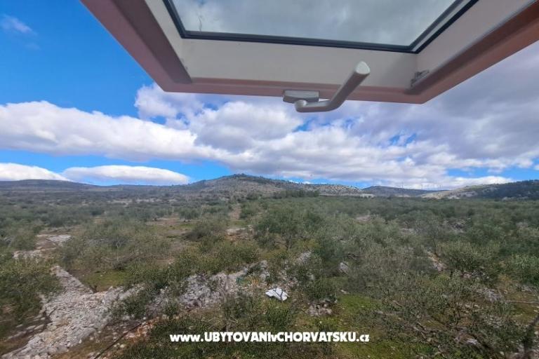 Green Huis (Dogs are welcome) – foto 7