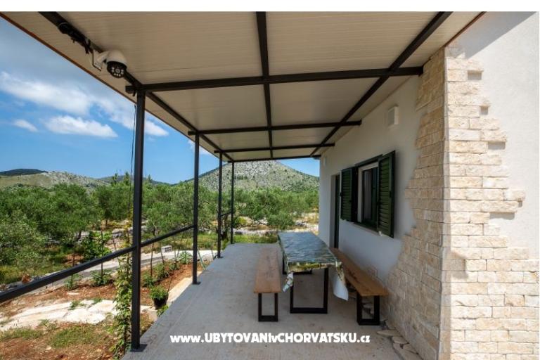 Green Huis (Dogs are welcome) – foto 8