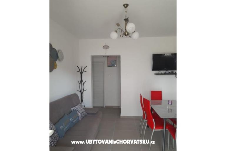 Slavko Šain – foto 4