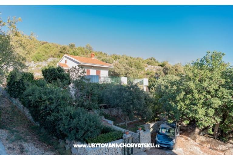 Villa Stella – foto 17