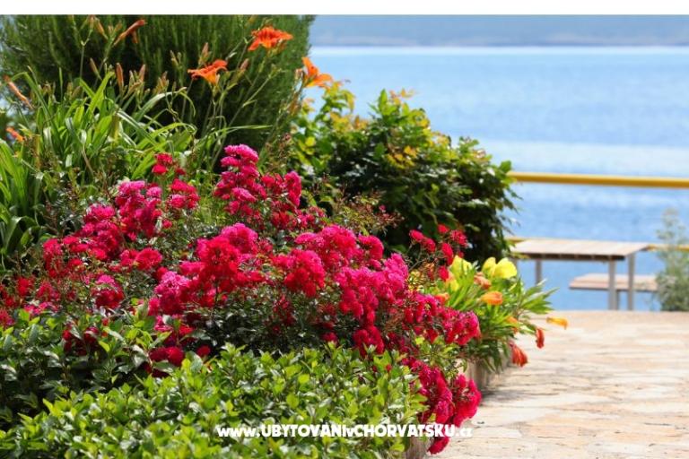 Appartementen Mare – foto 17