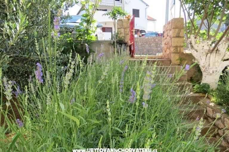 Appartementen Marija – foto 11